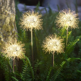 Salcar 2-piece set of LED solar garden lights with dandelion-like design